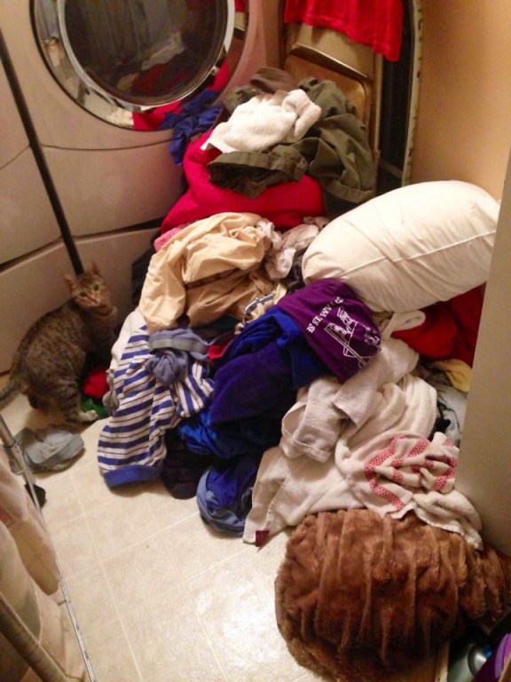 Impressive Pile of Clean Laundry