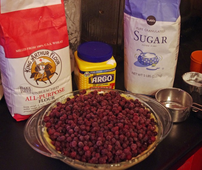 Pour the plain blueberries into the pie pan.